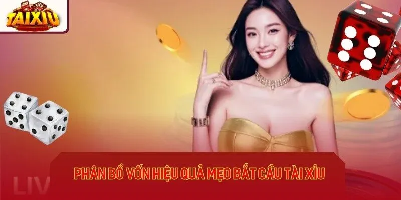 Phân bổ vốn hiệu quả khi áp dụng mẹo bắt cầu tài xỉu